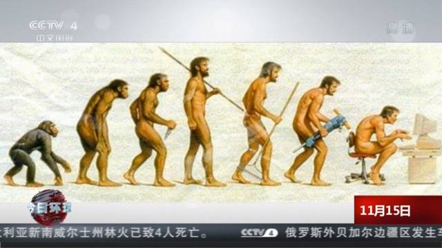 科学家首次成功从190万年前巨猿化石中提取到遗传物质