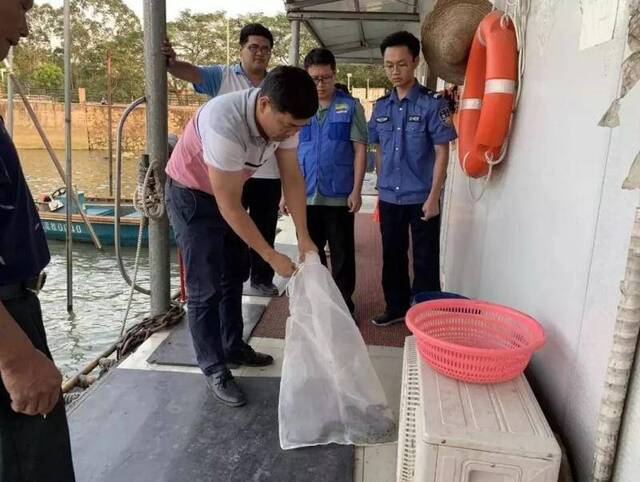 蟒蛇偷吃河鲜困在捕鱼笼！吃得肚子鼓鼓的！