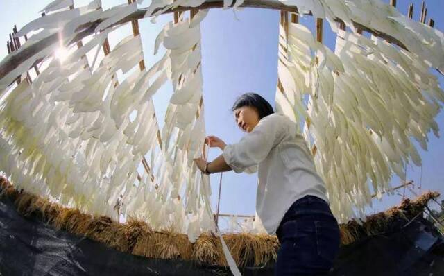 道滘农民晾晒冬瓜干，场面好壮观！