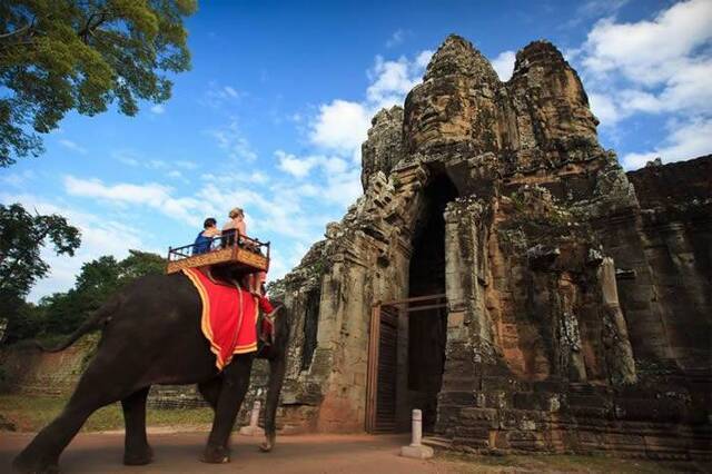 柬埔寨将在2020年全面禁止吴哥窟公园骑行大象