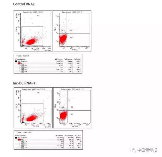 曹雪涛和其他作者“现身”逐一回应 质疑者再发声