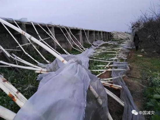 山西河南部分地区遭受大风袭击 240余人受灾