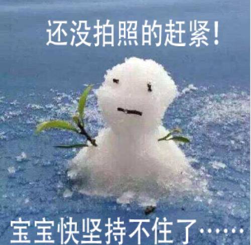 东北下雪了：看到雪的南方人，比雪还好玩……