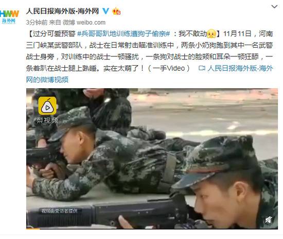 兵哥哥趴地训练遭狗子偷亲 ：我不敢动