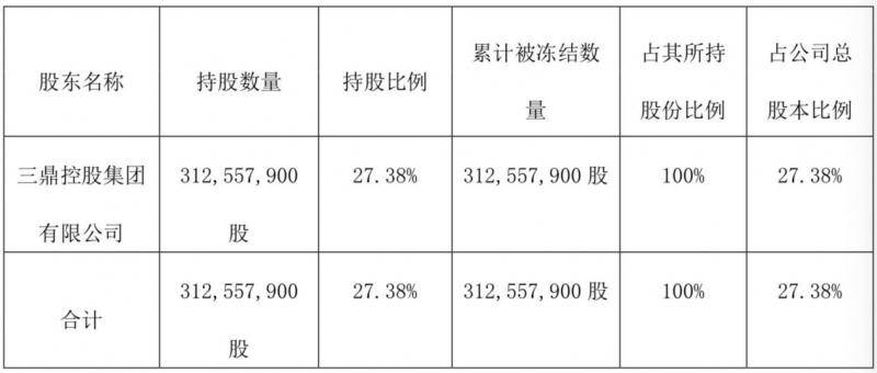 三鼎集团实控人丁志民遭法院限制消费 正考虑引入投资者