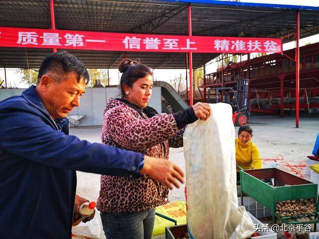 “北京核桃李”扶贫洛浦安新家，帮助千余贫困户增收