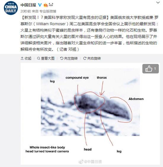 新发现？美国科学家称发现火星有昆虫的证据