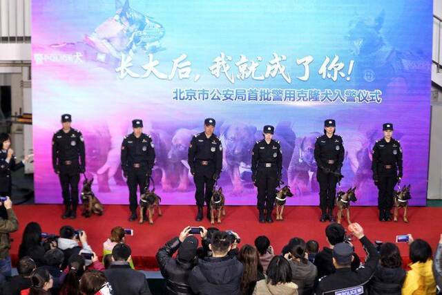 北京6头警用克隆犬正式入警