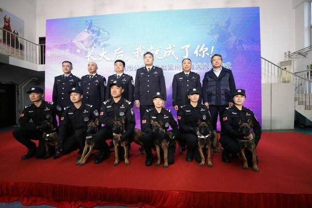 北京6只克隆警犬举行入警仪式，都是“科字辈”