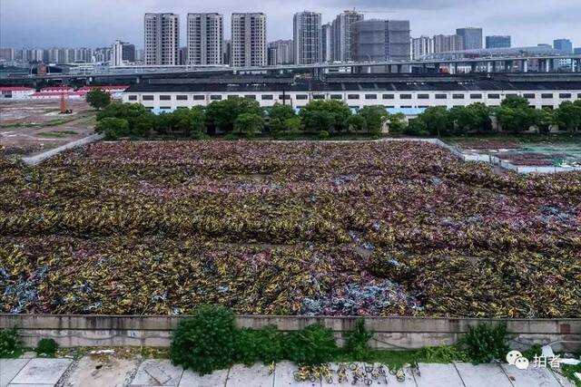 从“无处安放”的共享单车到吾心归处的“深圳村落“