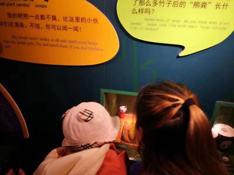 武汉动物园游客可闻熊猫粪便 动物园：能闻到清香