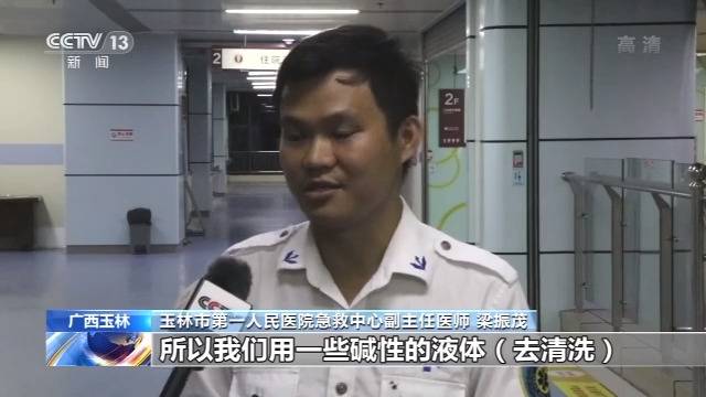 黄蜂主动伤人致3死5伤 野外活动你要注意这些