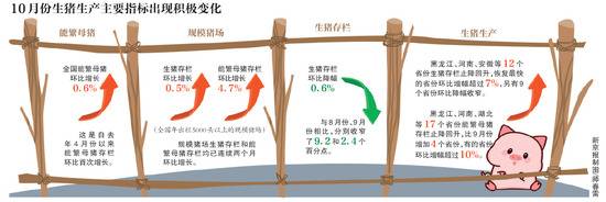 全国生猪生产进入止降回升转折期