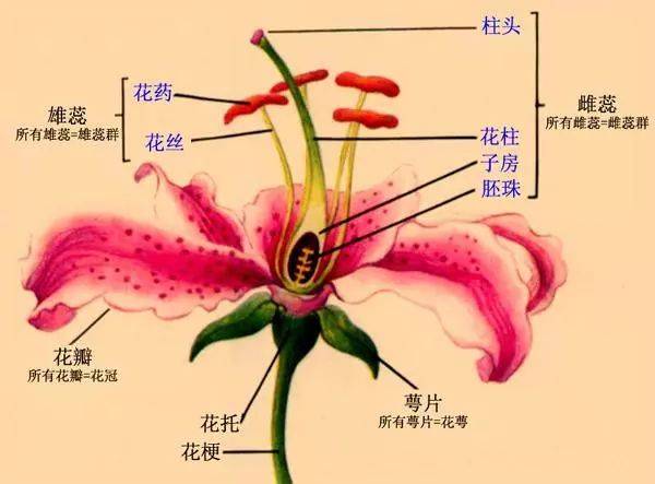 流沙河：反对国学的国学大家