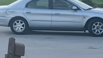 一只狗“开”车打转（图源：YouTube视频网站）