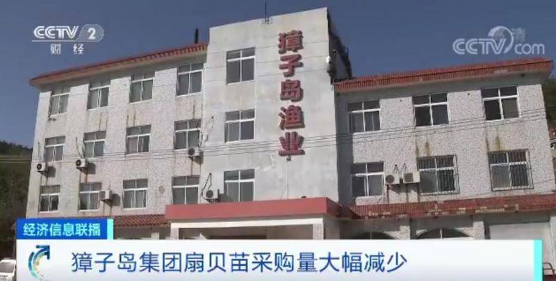 獐子岛扇贝暴毙周边却正常 原来背后发生这么多事