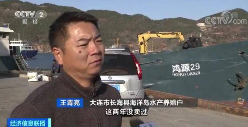 獐子岛扇贝暴毙周边却正常 原来背后发生这么多事