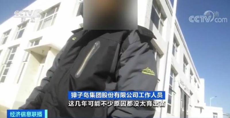 獐子岛扇贝暴毙周边却正常 原来背后发生这么多事