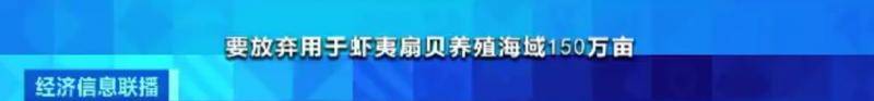 獐子岛扇贝暴毙周边却正常 原来背后发生这么多事