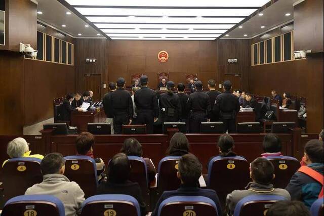 上海一中院公开审理“金眼猫”公司集资诈骗案