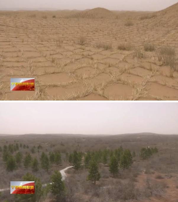 宁夏党委书记到中卫沙漠污染整治现场听取报告