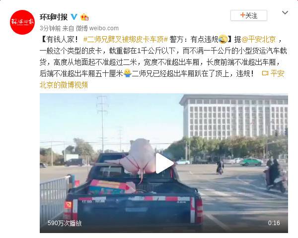 二师兄劈叉被绑皮卡车顶 警方：有点违规