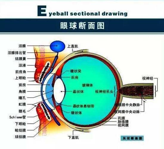 中国中医科学院望京医院眼科副主任医师周尚昆供图