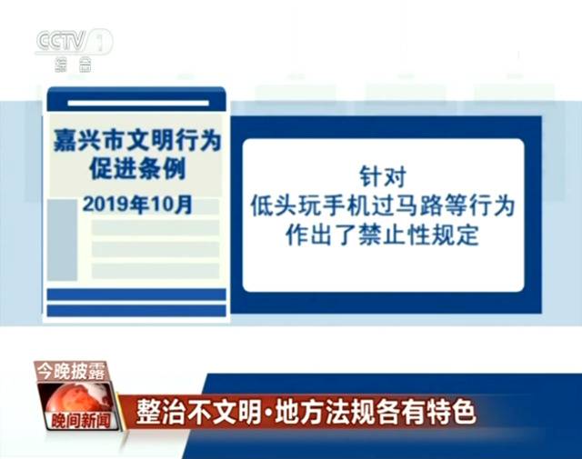 霸座遛狗不栓绳？多地立法整治这些不文明行为