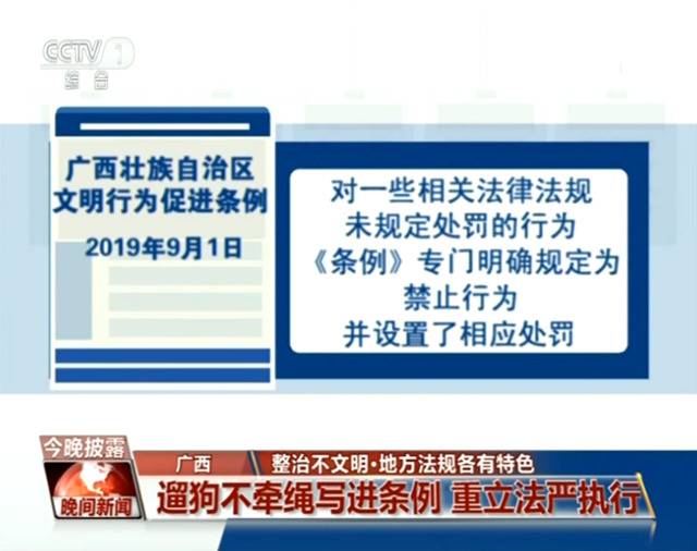 霸座遛狗不栓绳？多地立法整治这些不文明行为