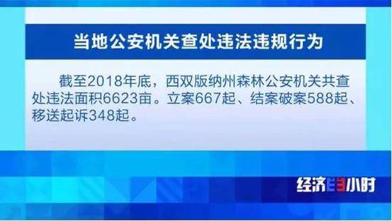 打击整治破坏森林资源违法违规行为