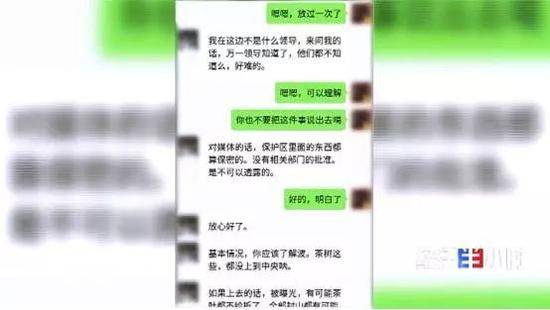 云南国有林古树茶热度不减 当地村民毁林种茶