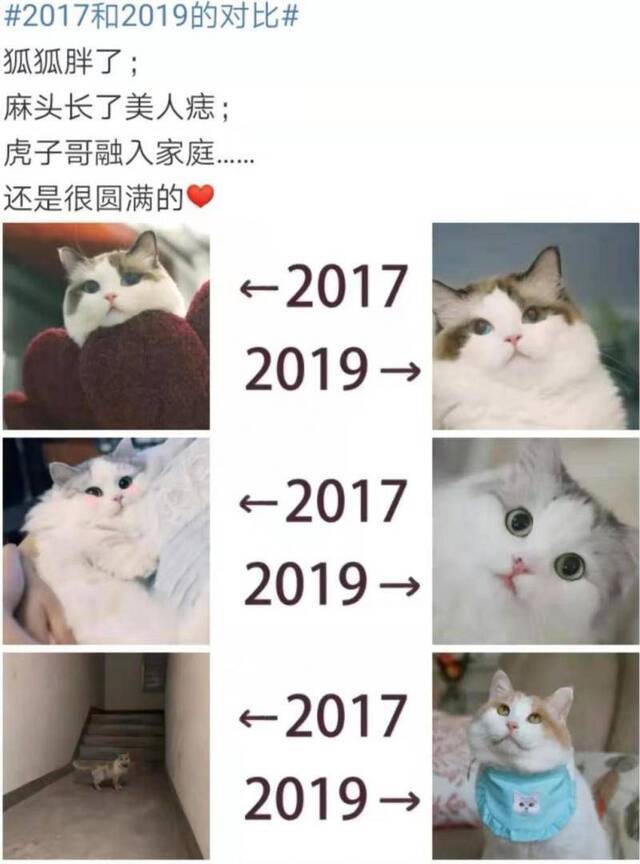 2017VS2019：这番秀图比拼大潮，你赶上了吗？