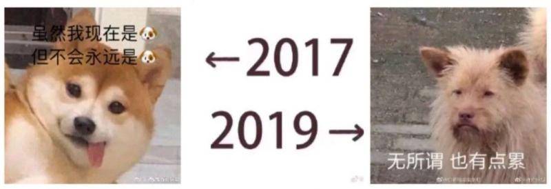 2017VS2019：这番秀图比拼大潮，你赶上了吗？