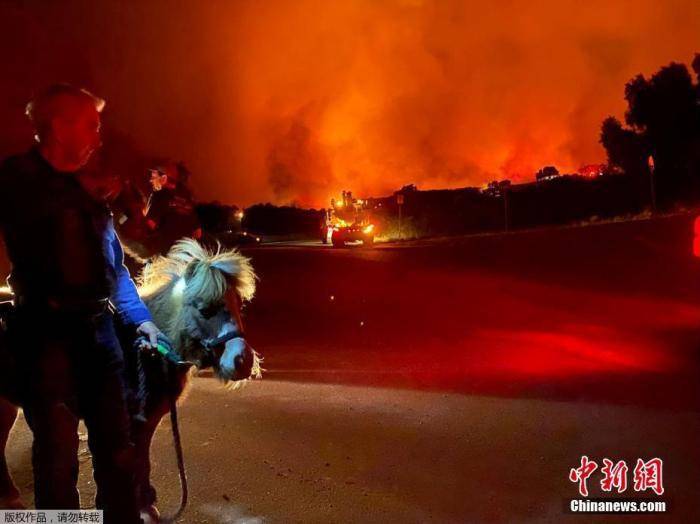 当地时间2019年11月25日，美国加州，洛斯帕德雷斯国家森林公园发生火灾，消防队员赶往现场灭火。