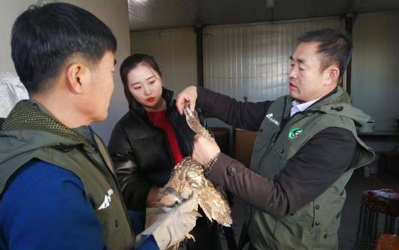 万人“护飞”背后 候鸟保护之难