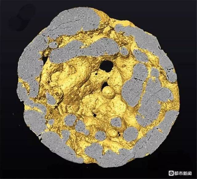笼脊球化石三维重构模型，内部切面显示多细胞结构