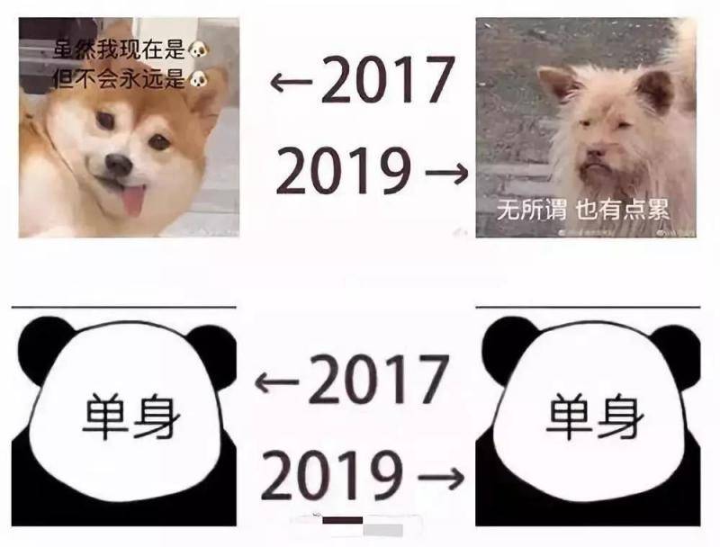 “2017—2019”：在时间面前，每个人都有故事