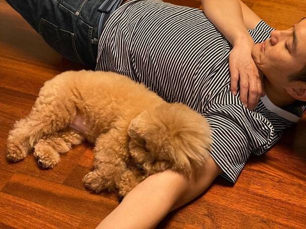 张智霖躺在地上，狗狗躺在他怀里