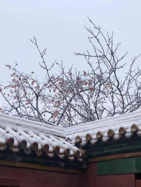 故宫初雪景观火了 30日8万张门票已售罄