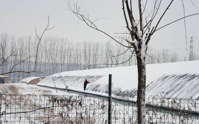 昌平和延庆雪最大：蜜蜂不爱干活 大棚掀不起棉被