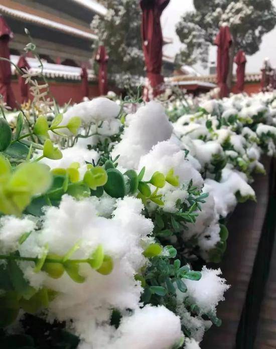 故宫雪景绝美大图来袭(组图)