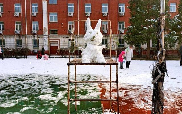 北京下了一场雪 农大老校长旁边多了两个“新朋友”