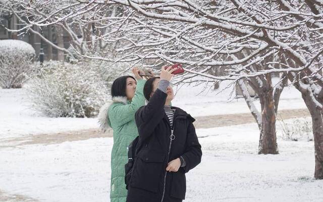 北京下了一场雪 农大老校长旁边多了两个“新朋友”