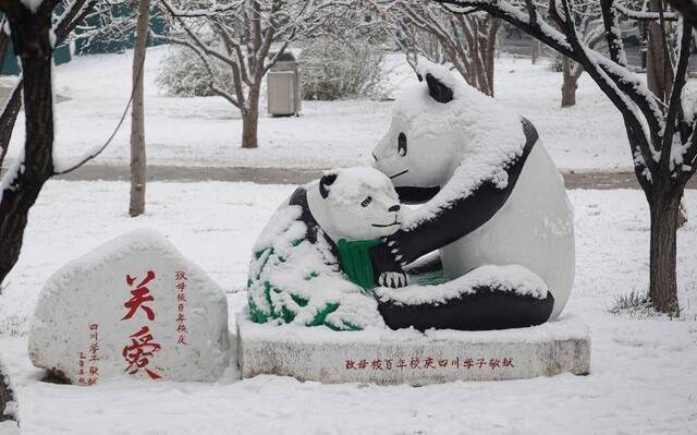 北京下了一场雪 农大老校长旁边多了两个“新朋友”