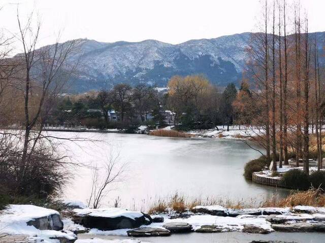 登景山、“踏雪寻梅”，北京30万游客雪后公园打卡