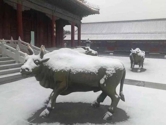 雪后故宫迎来游人潮 截至9时尚有余票