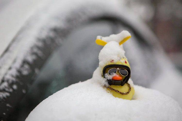 2019北京初雪“艺术节”开幕！