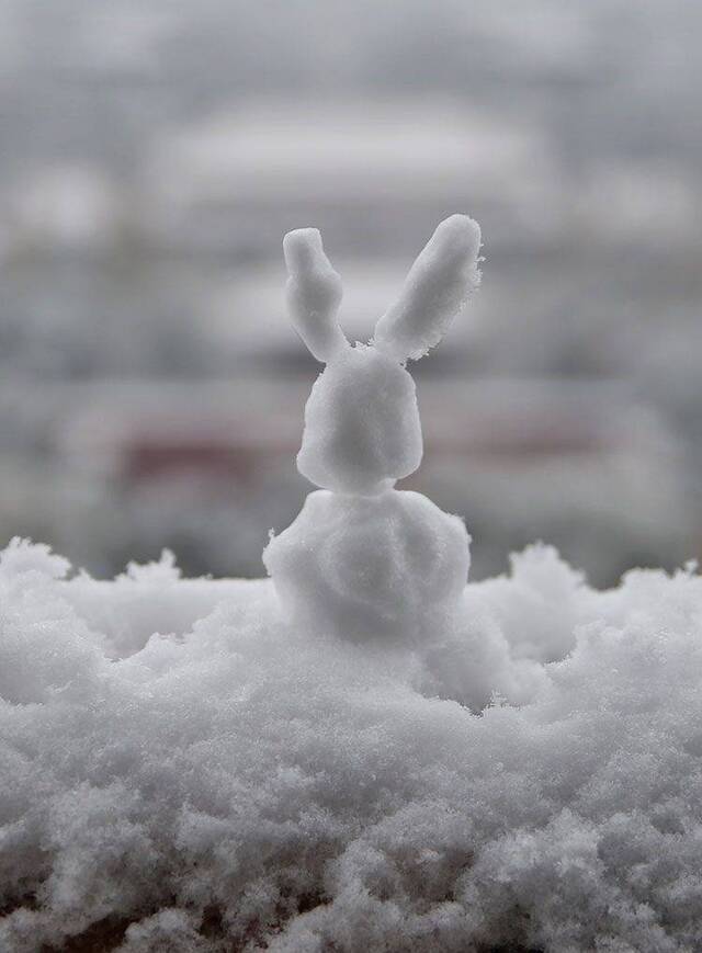 2019北京初雪“艺术节”开幕！