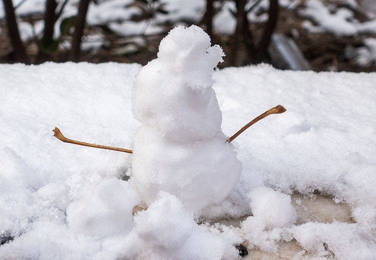 2019北京初雪“艺术节”开幕！