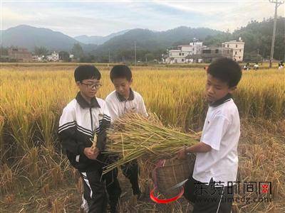 从“旁观者”到“同盟者” 家委会带来酷炫科技课